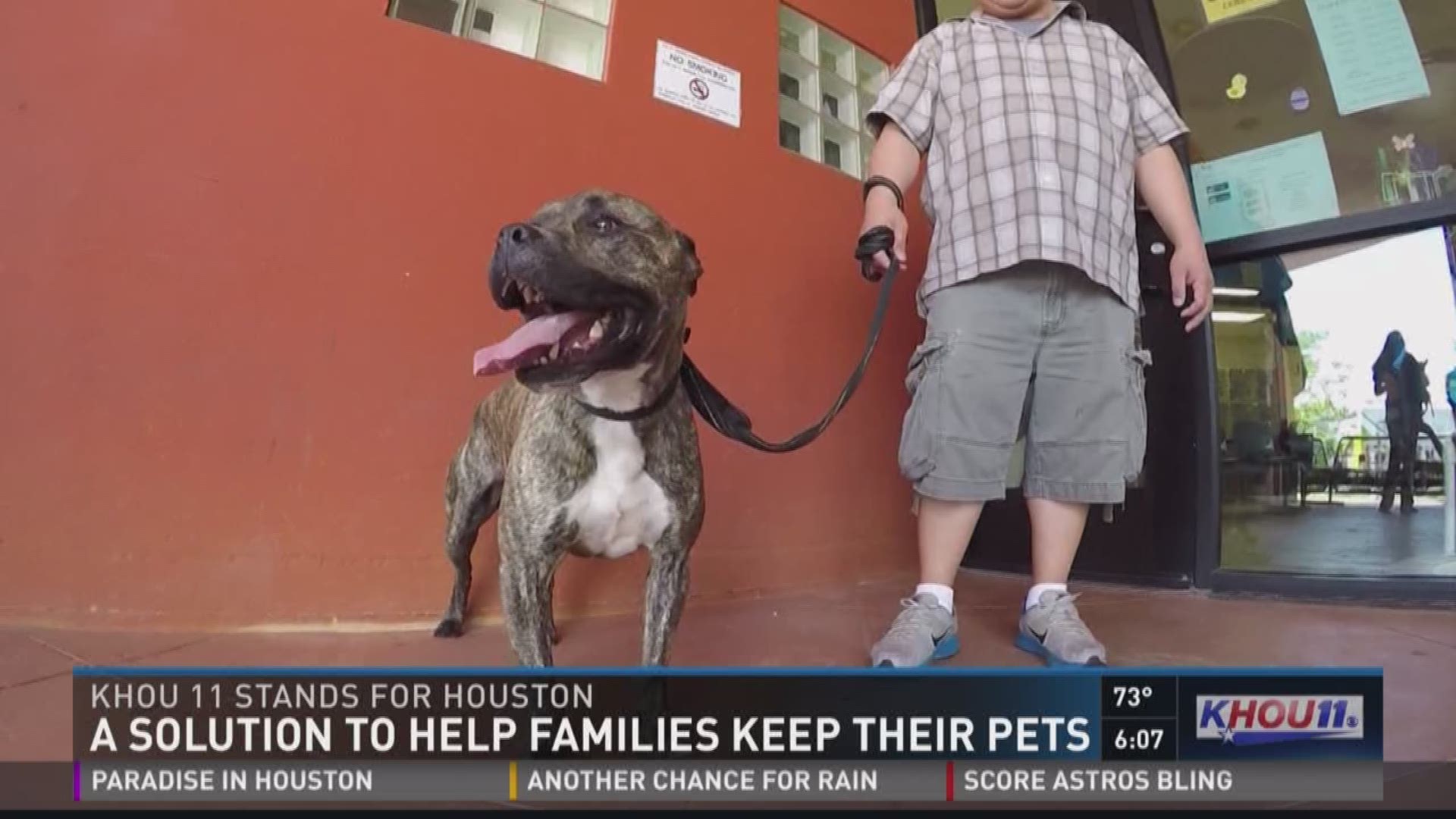 The Harris County Animal Shelter offers alternative options to help keep people and their pets together.