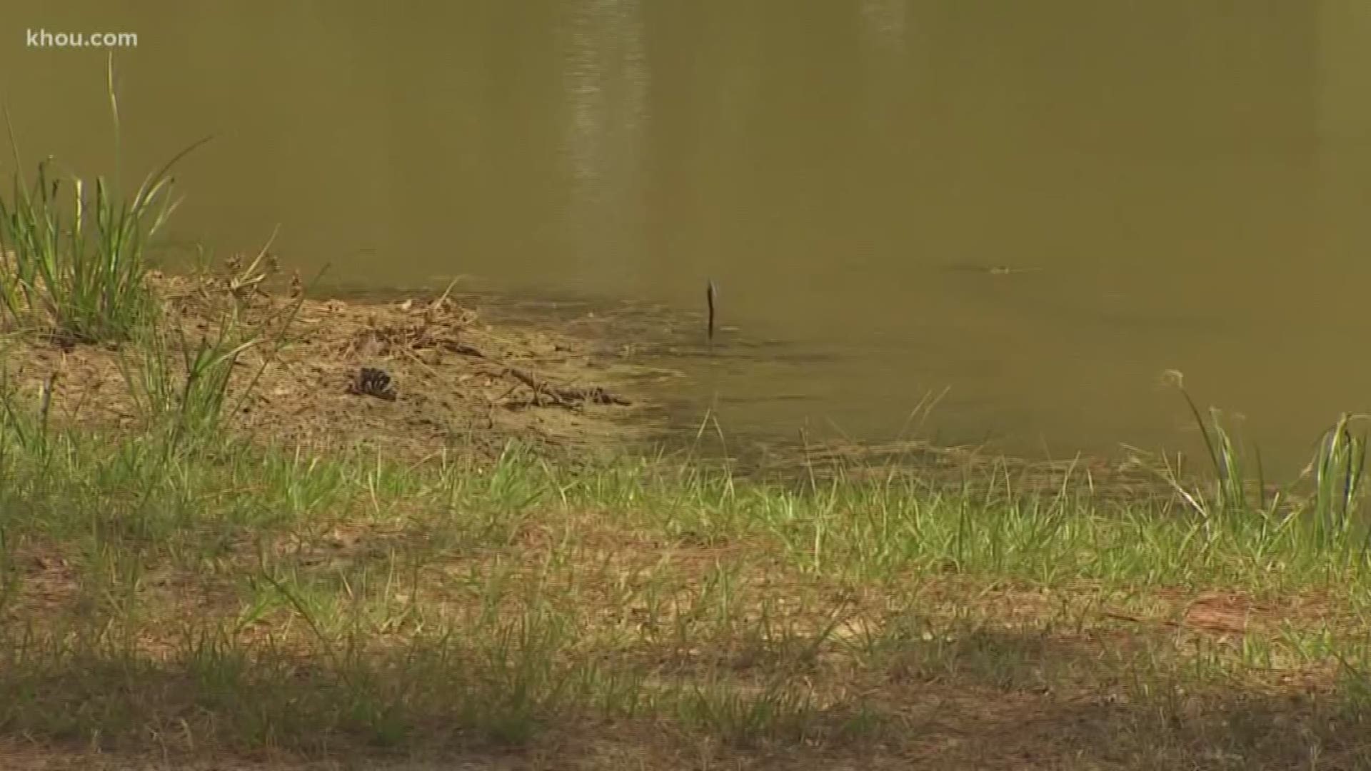 The Montgomery County Sheriff's Office said two boys, ages 3 and 4, drowned in a small pond in Montgomery County Thursday night.