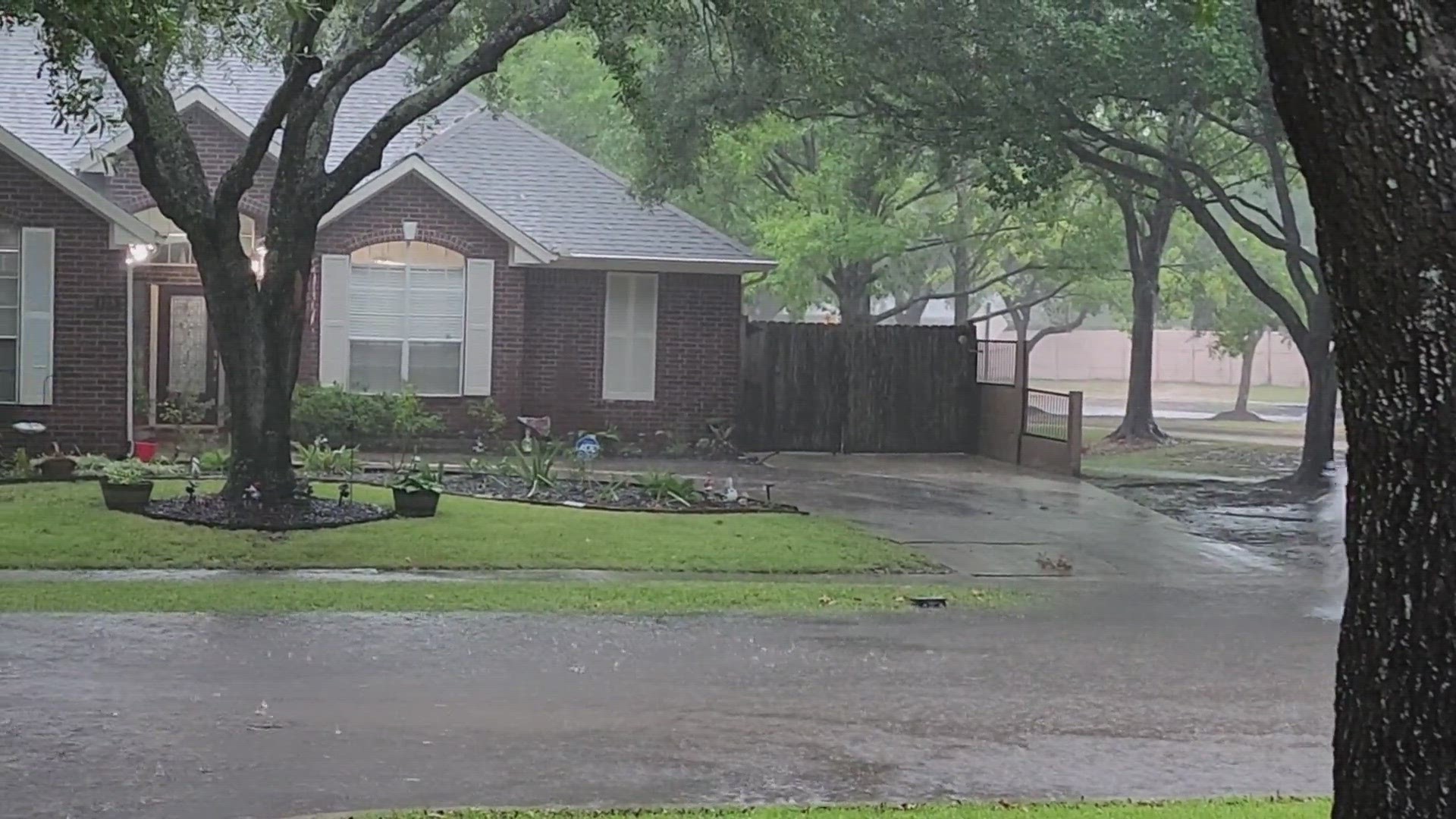 Why rainy weather is good for gardens and bad for lawns – Houston