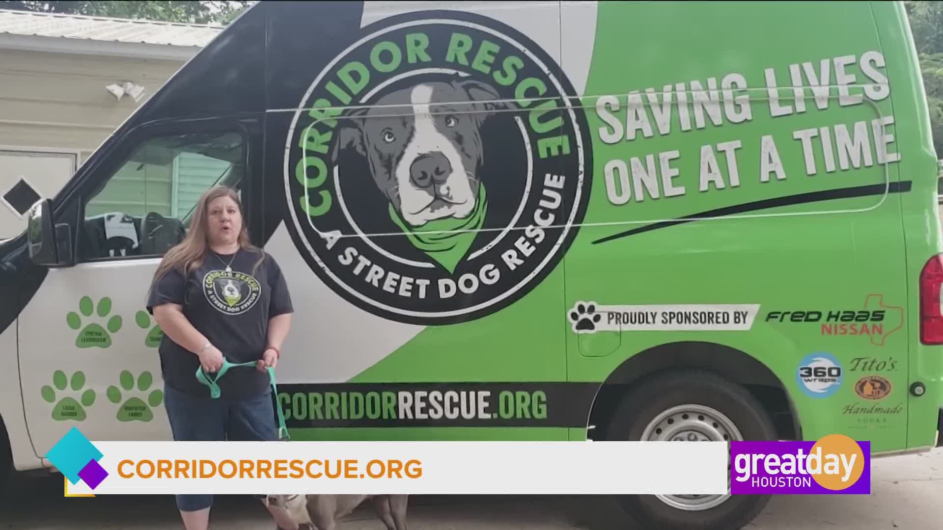 Beth Lovell, Board Chair of Corridor Rescue is rescuing and finding forever homes for abandoned and injured dogs.