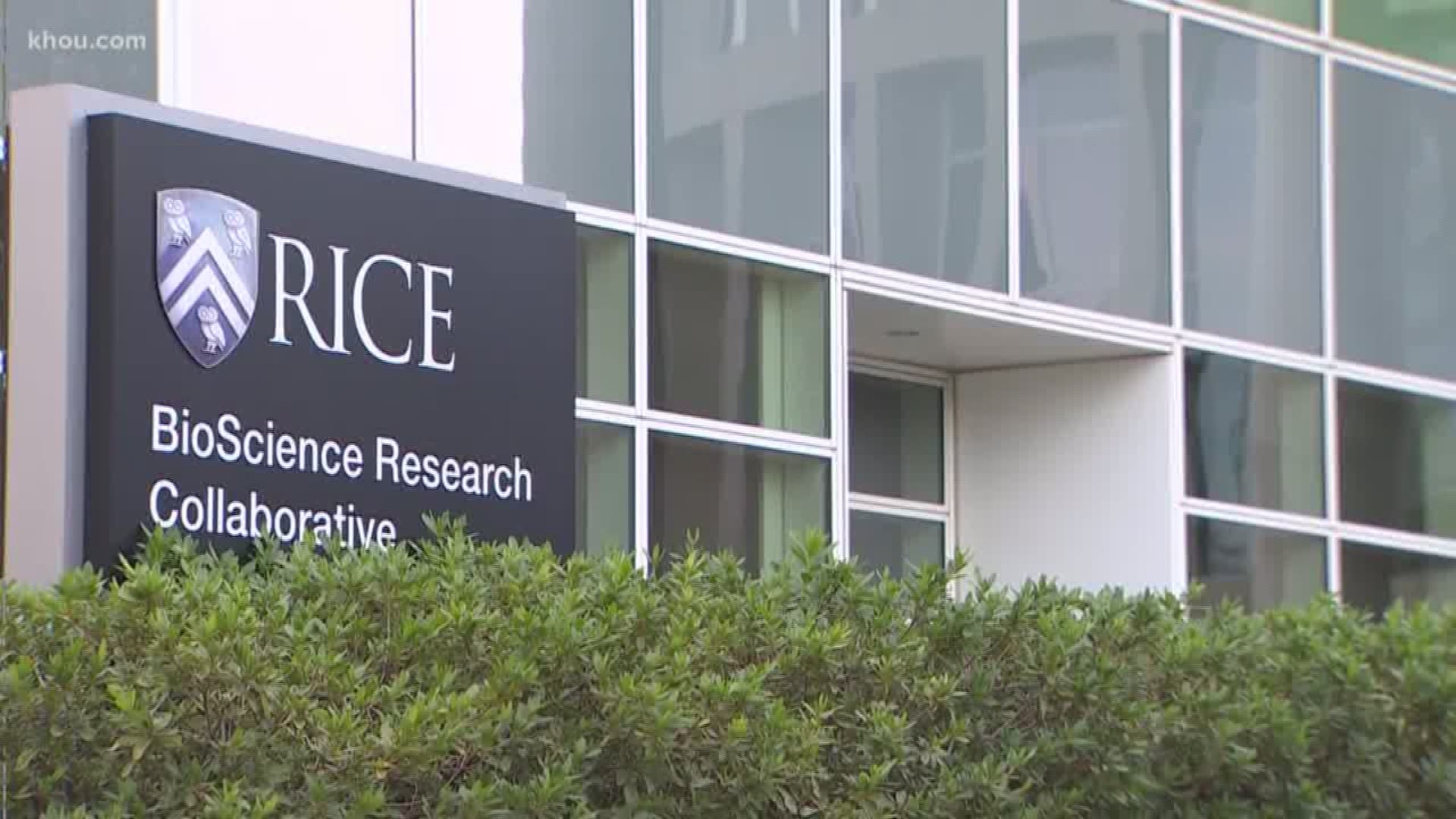 Rice researcher Michael Deem is being investigated for his role in genetically-edited babies. The university says none of the work happened in the U.S. but it does not condone.