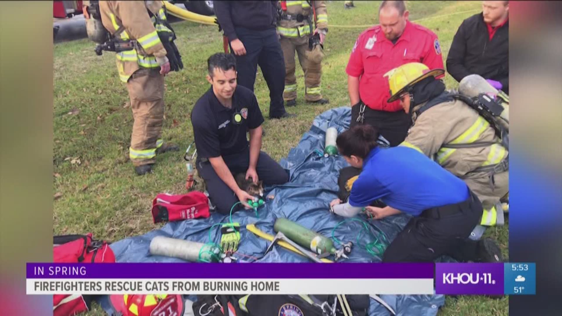Firefighters used their special pet oxygen masks to help three cats they rescued from a burning house in Spring on Sunday.