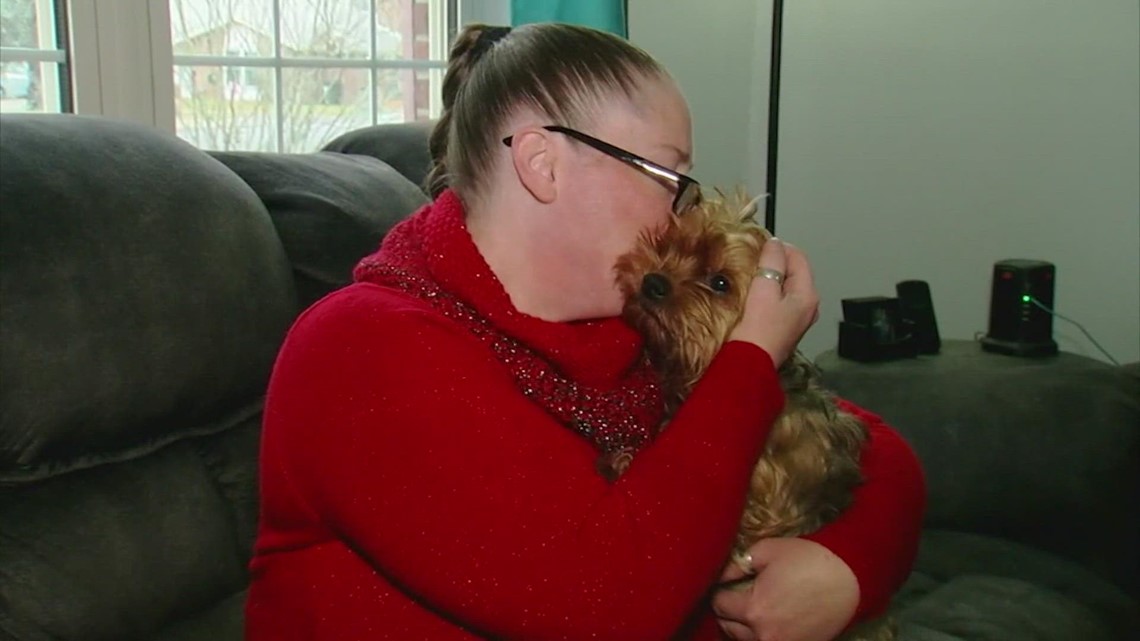 Buying a puppy online? How to protect yourself from being scammed