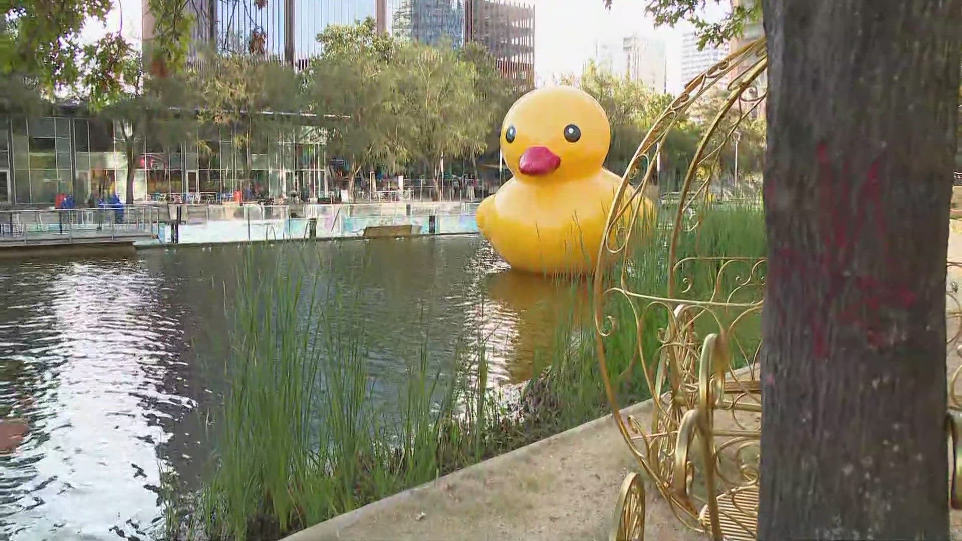 KHOU 11's Shern-Min Chow is at Discovery Green, where people will enjoy picture perfect weather this weekend.