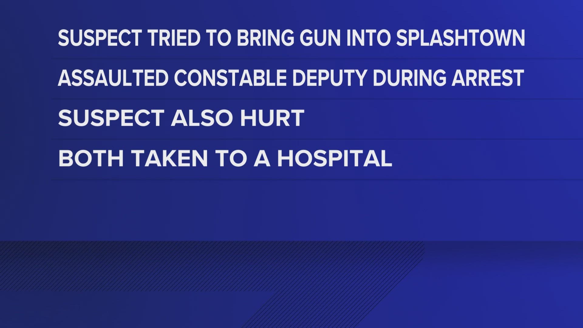 A man was arrested after Harris County Pct. 4 Constable Mark Herman said he brought a gun to a waterpark and assaulted a deputy constable on Saturday.