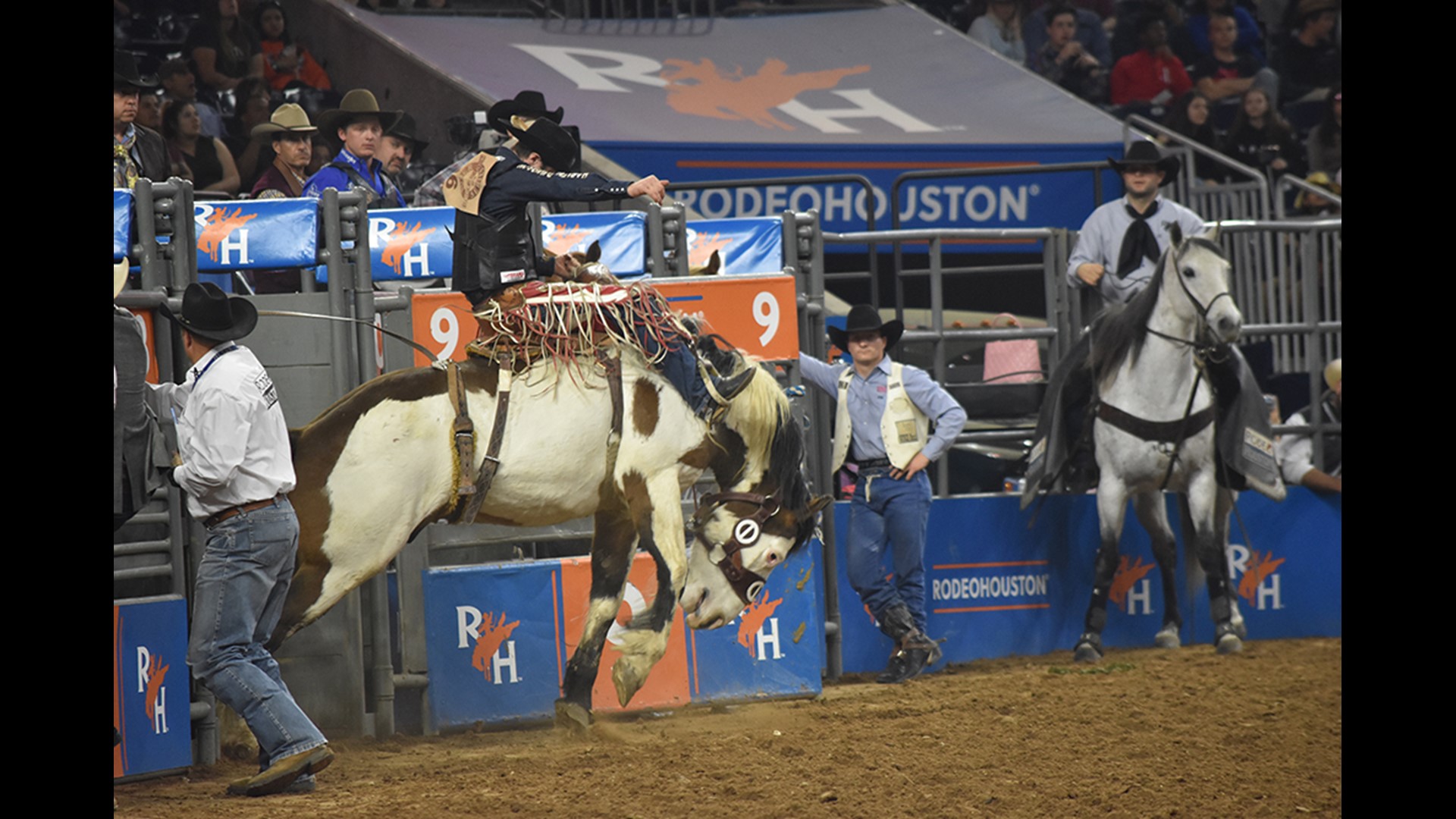 RodeoHouston Photos: Bareback and saddle bronc semi-finals | khou.com