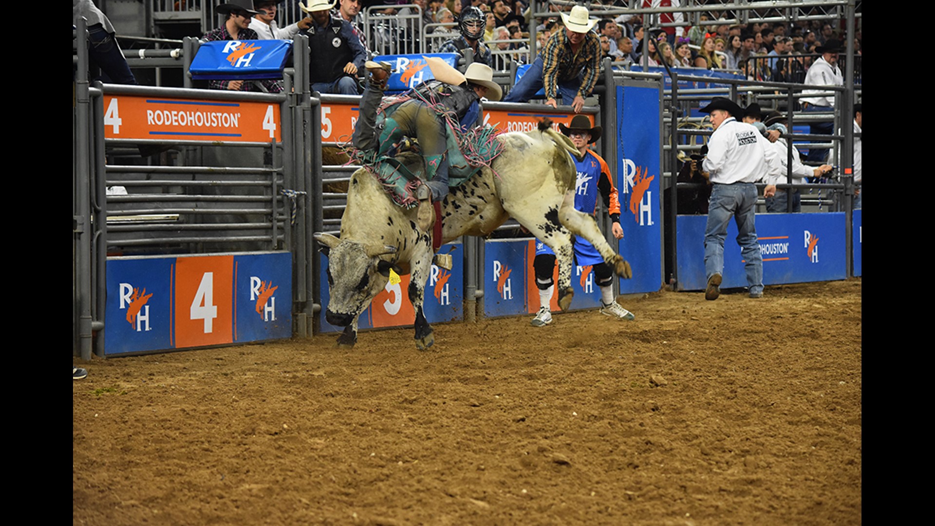 PHOTOS: Highlights from the 2018 Houston Livestock Show & Rodeo | khou.com