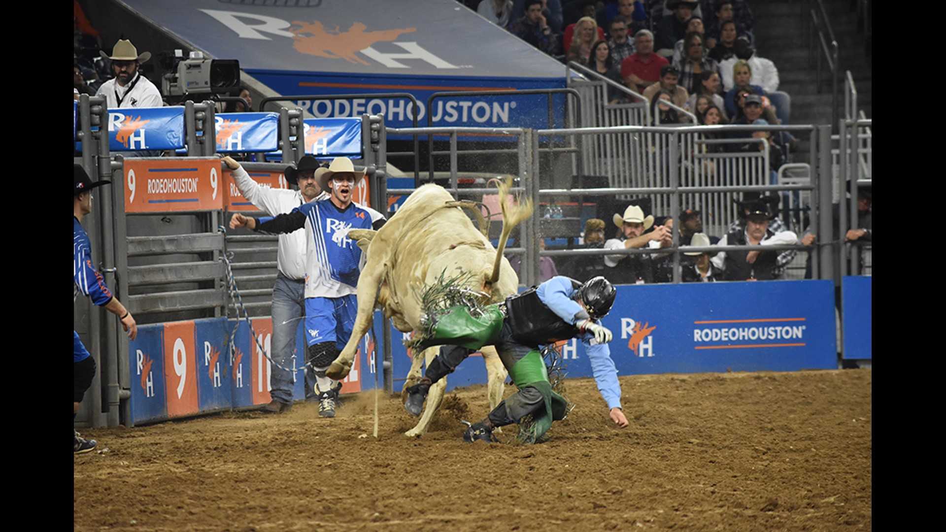 PHOTOS: Highlights from the 2018 Houston Livestock Show & Rodeo | khou.com
