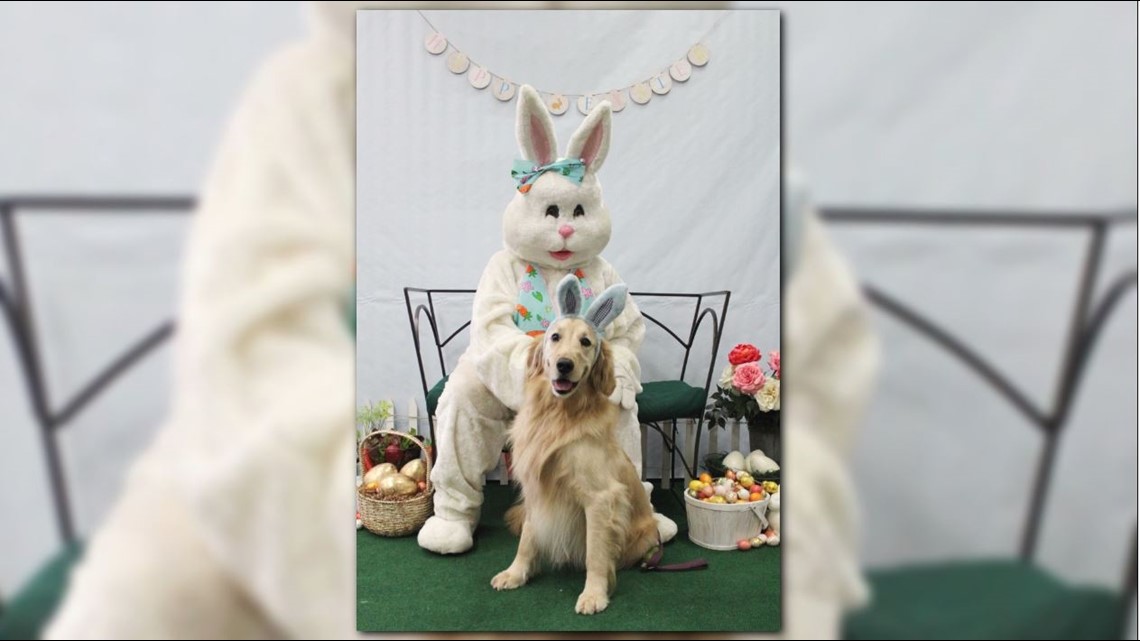 Fur babies pose with the Easter Bunny to raise money for animal rescue ...