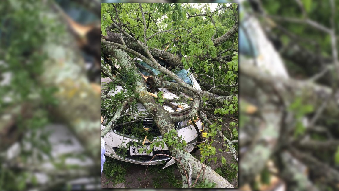Man injured after large tree falls on van | khou.com