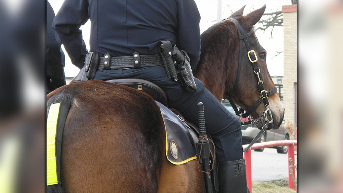 Woman charged after slapping patrol horse on Sixth Street, police say ...