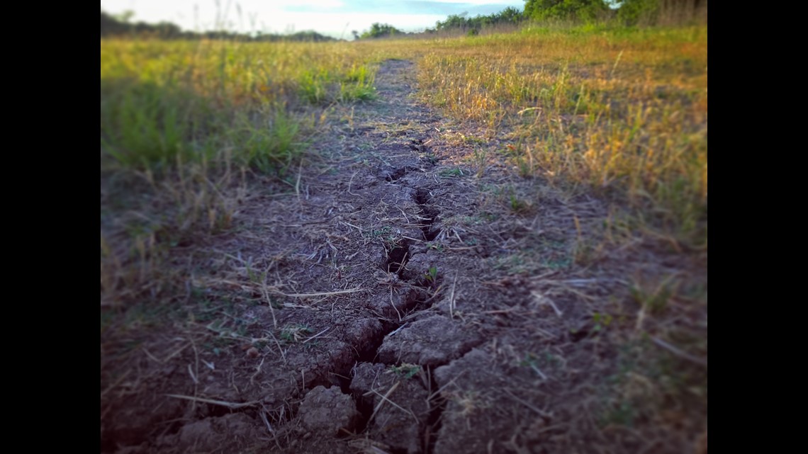 Brooks's Blog Cracked ground and dry lawns