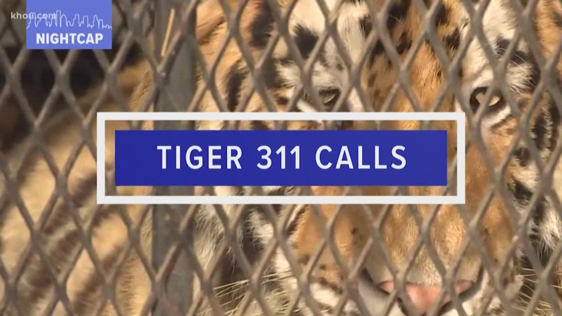 It's probably one of the strangest 311 calls we've ever heard. A teenager finds a tiger in an abandoned home and tells the operator, "I'm not lying, I swear." That story kicks off this edition of the 90-second nightcap.