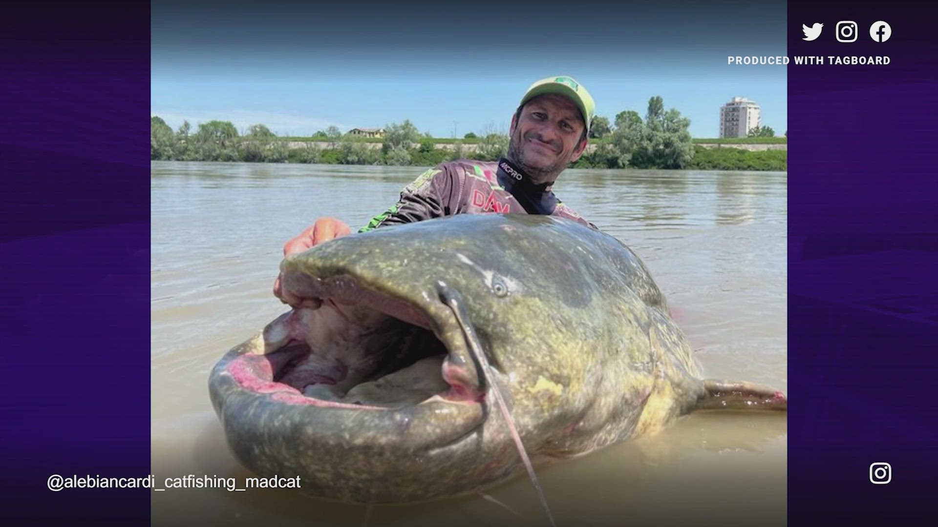 Italian angler could be the new world-record holder after reeling in this massive catfish that measured more than nine feet long!