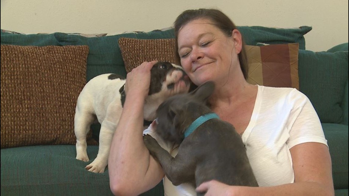 North Texas woman finds new way to keep dogs entertained while