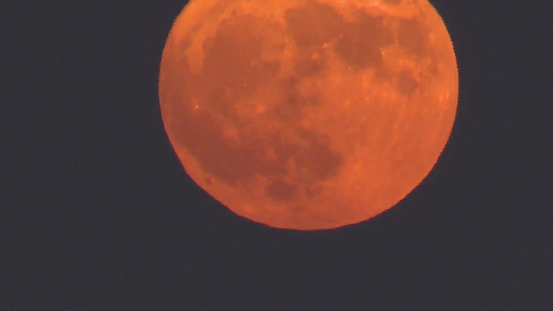 A beautiful harvest moon could be seen over Houston on Friday, Sept. 13, 2019. (Video: KHOU 11 Photojournalist Ryan Phillips)