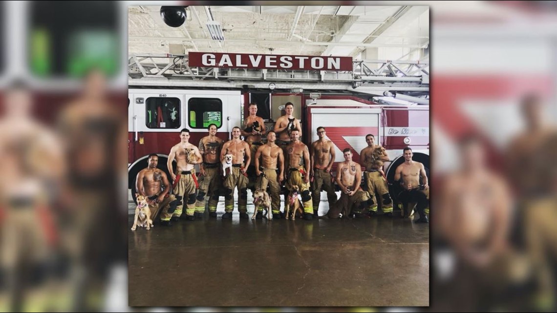 Galveston firefighters pose with adoptable pups for 2019 calendar
