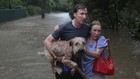 Photos: Countless pets rescued during Hurricane Harvey