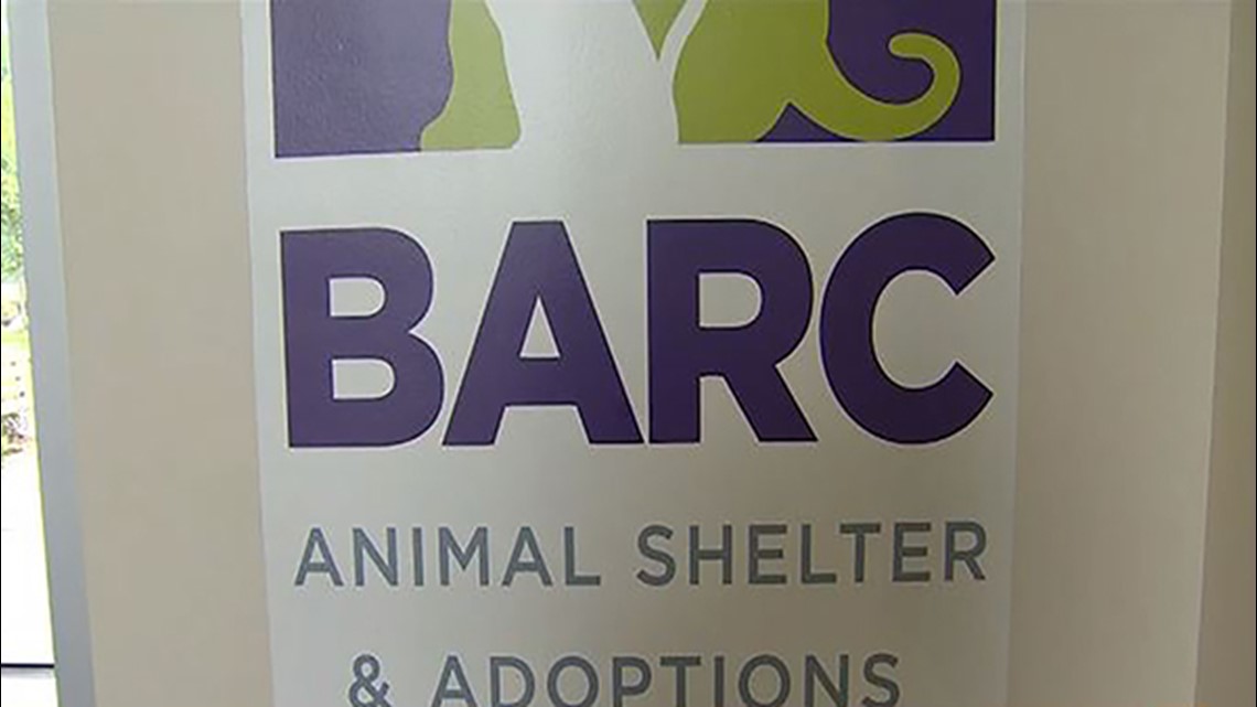 Tes anjing penampungan BARC positif untuk distemper |  Berita Houston