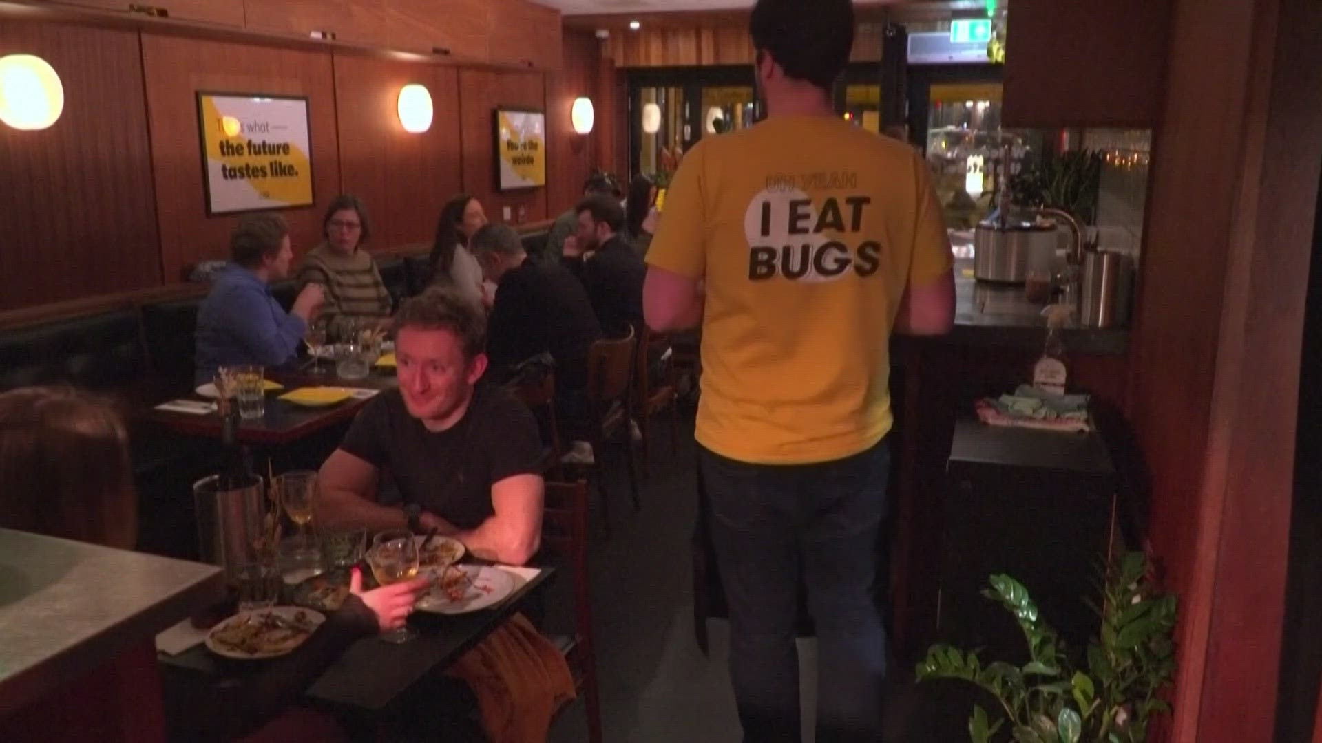 Yum-Bug in London is the world's first bug-based small plate restaurant.