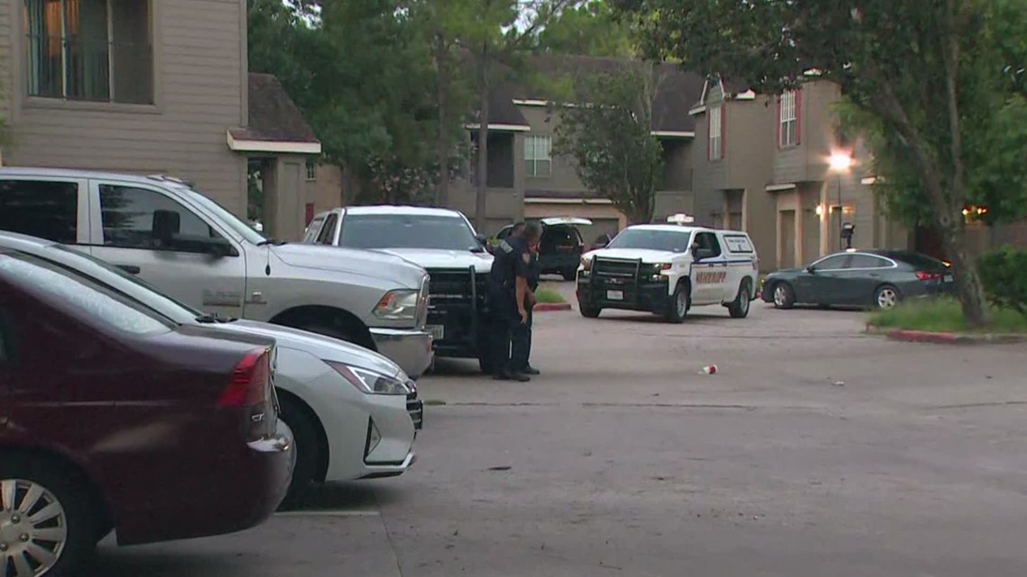 Ella townhome shooting: Mother killed and her car is taken | khou.com