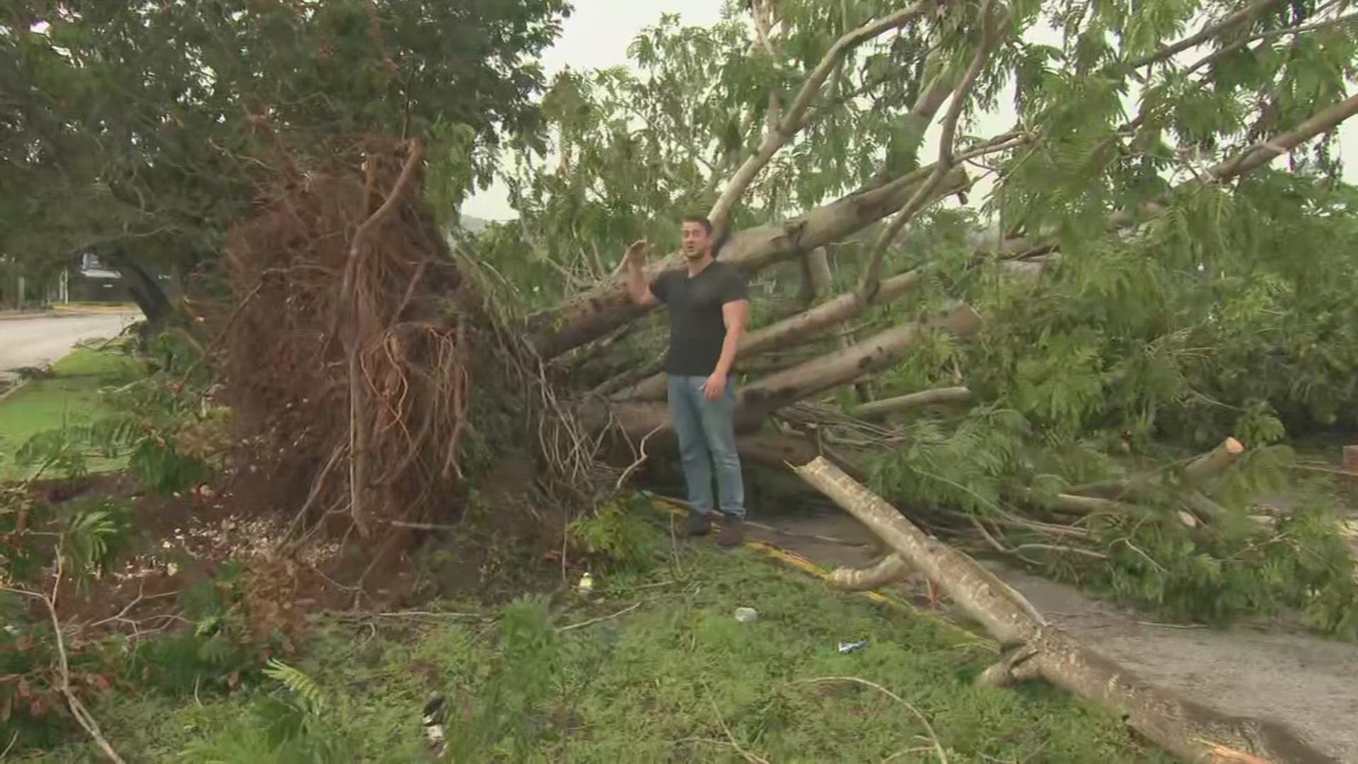 Jamaica declared a 'disaster area' in aftermath of Hurricane Beryl ...