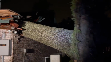 Tree crushes roof of Baytown woman's home during Hurricane Nicholas