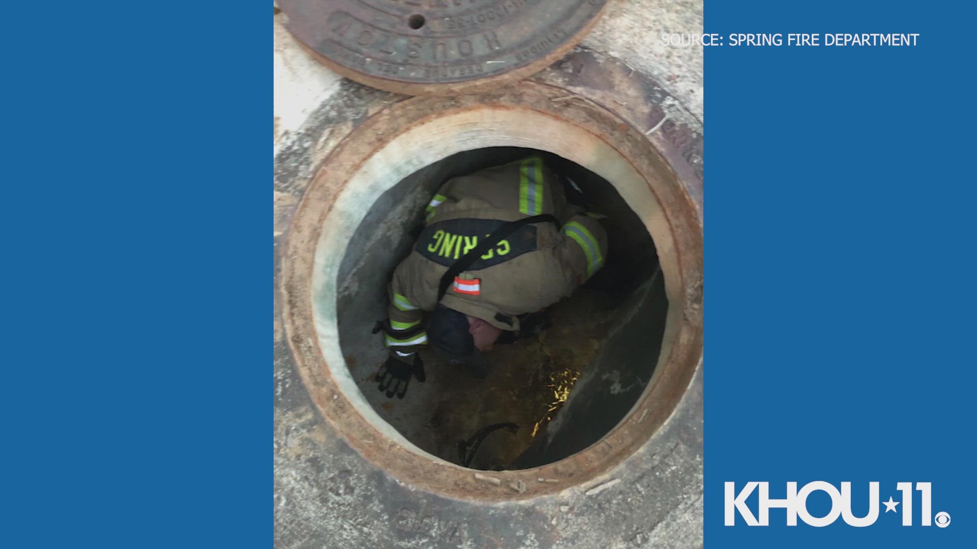 After multiple attempts, Spring firefighters were able to rescue an adorable kitten that found itself trapped in the sewer. They shared these photos.