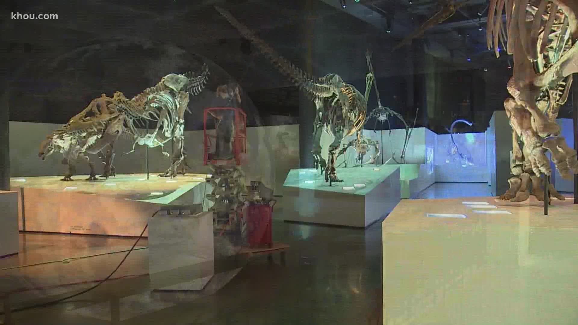 Museum officials said they're planning for safety and with social distancing in mind.