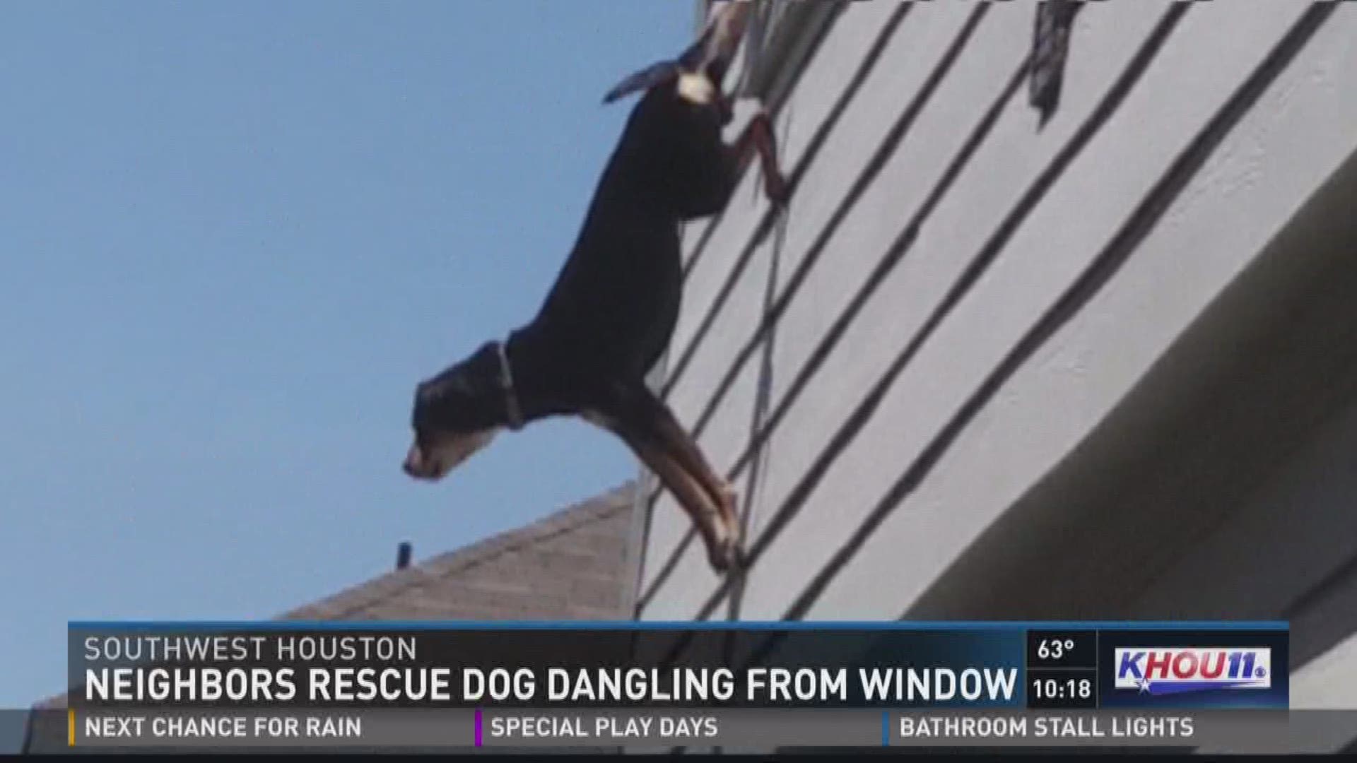 It was a crazy scene in southwest Houston Wednesday where a poor dog was hanging out a second-story window and barking for help.