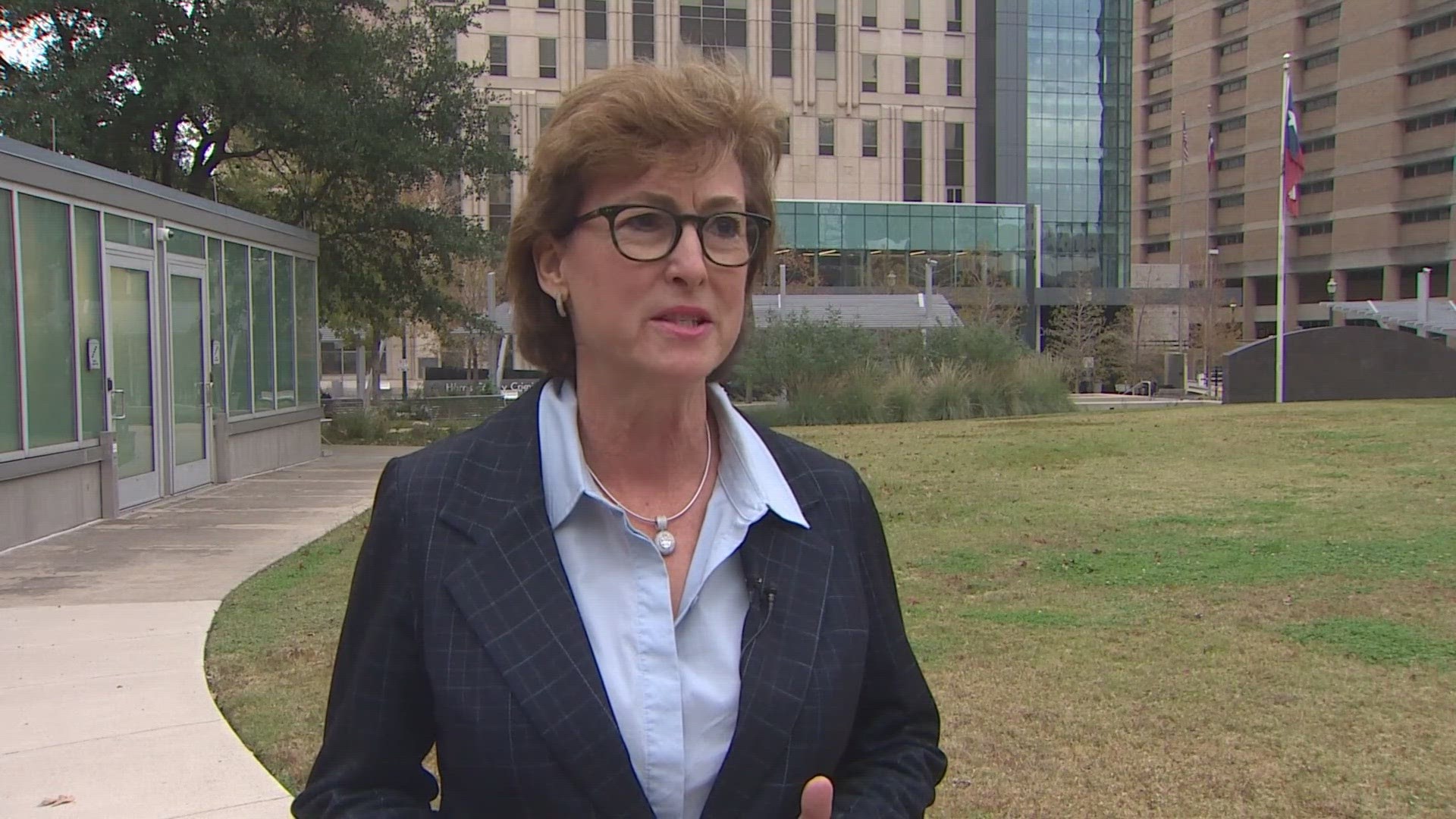 Harris County Democrats voted 129 to 61 to admonish District Attorney Kim Ogg for how she's doing her job.