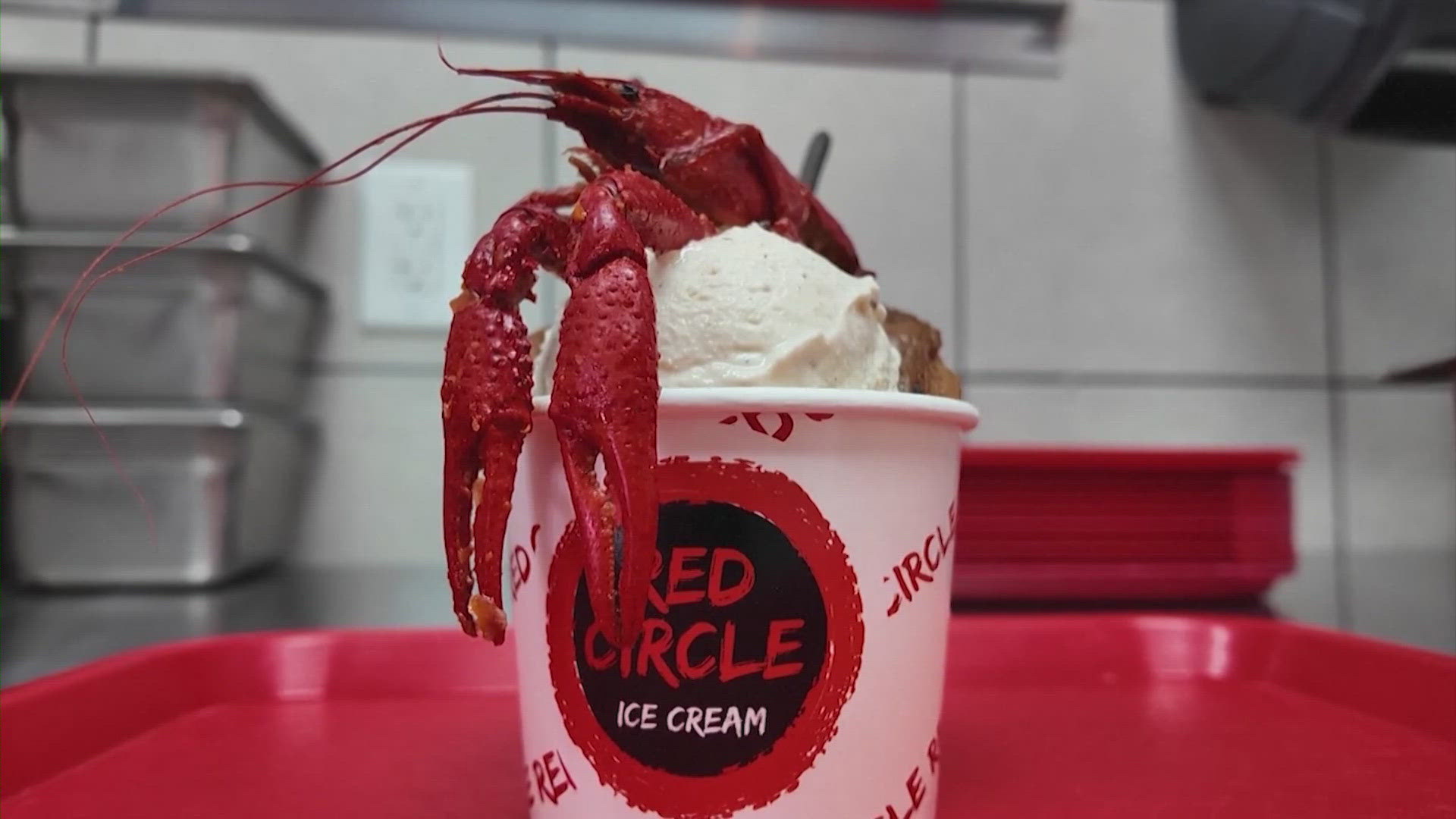 #HarveyCat wins internet, swims to safety in aftermath of hurricane | khou.com