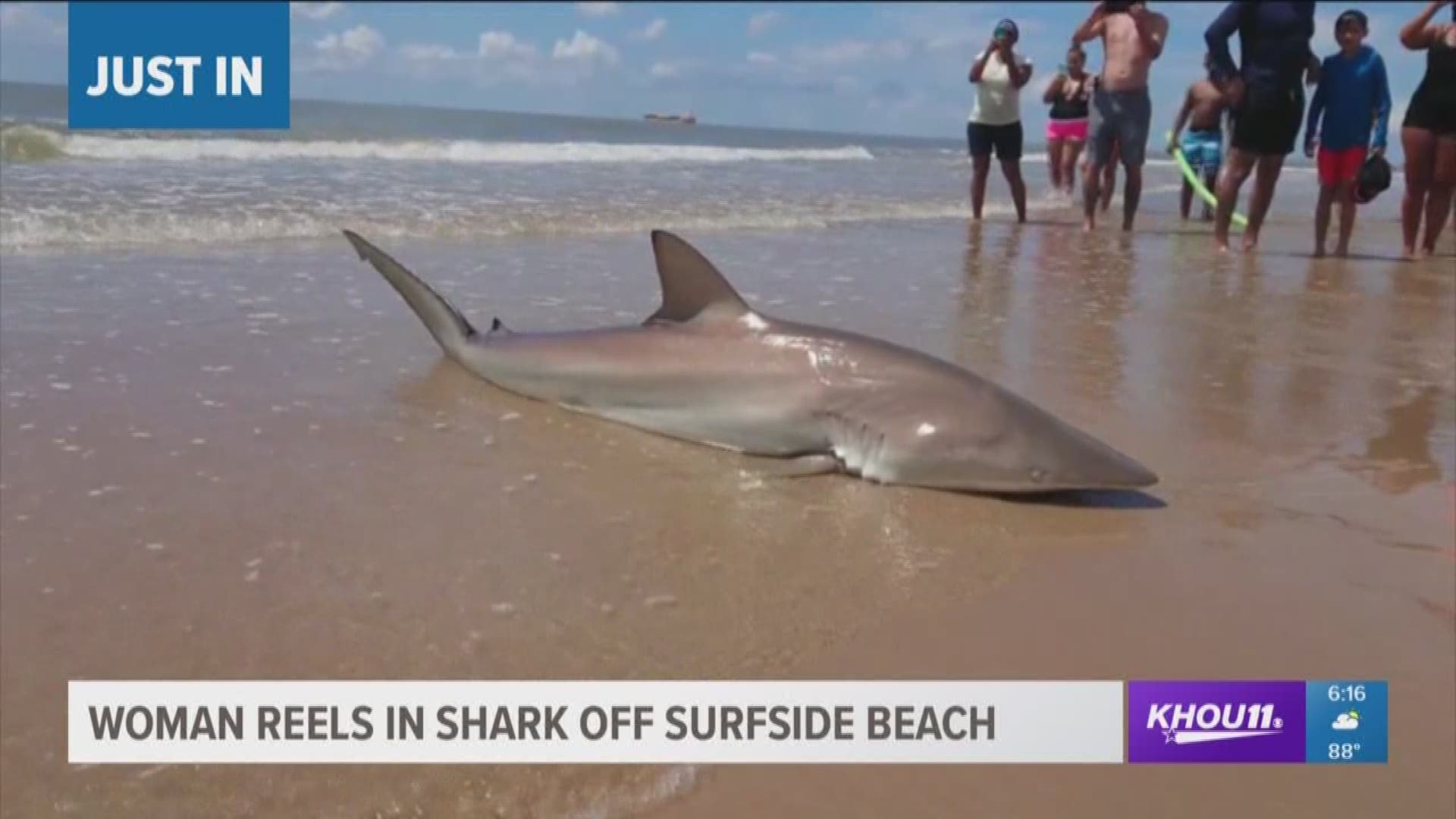 Someone started filming as Lauren Biggers hooked a shark at Surfside Beach Saturday morning.