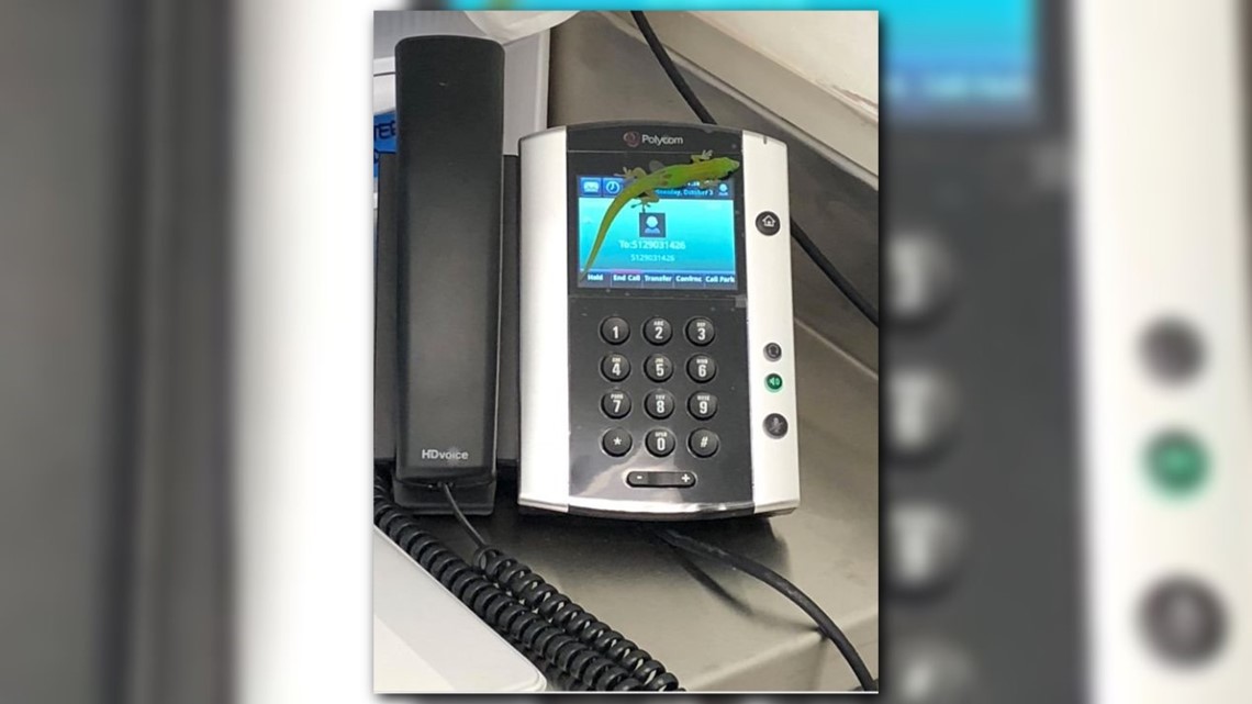 Curated visual reference: Picture Idea: Hospital Receives Several Mysterious Phone Calls They Came From A