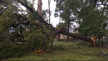 Photos: Halloween Storms Bring Damage To Parts Of Houston Area | Khou.com