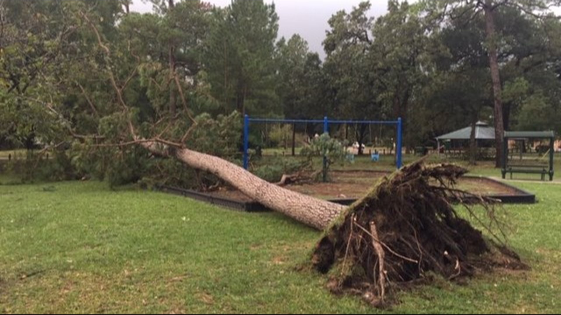 Photos: Halloween storms bring damage to parts of Houston area | khou.com