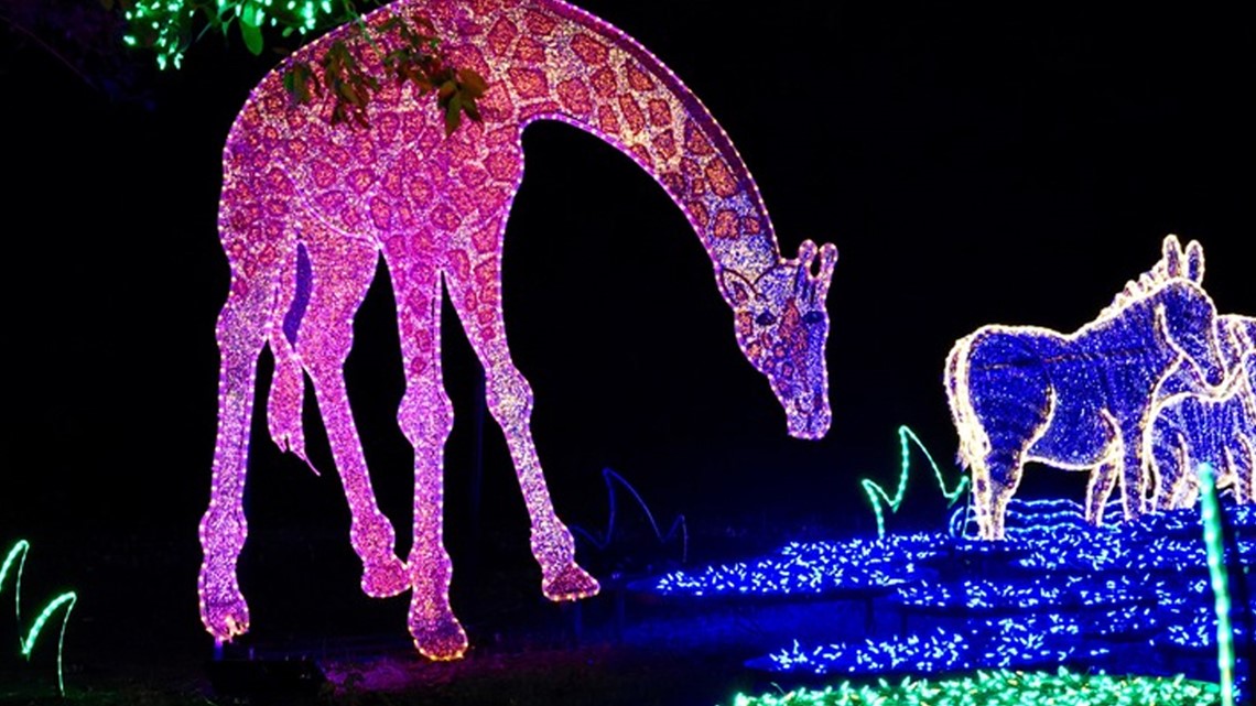 What’s new this year at Houston Zoo Lights