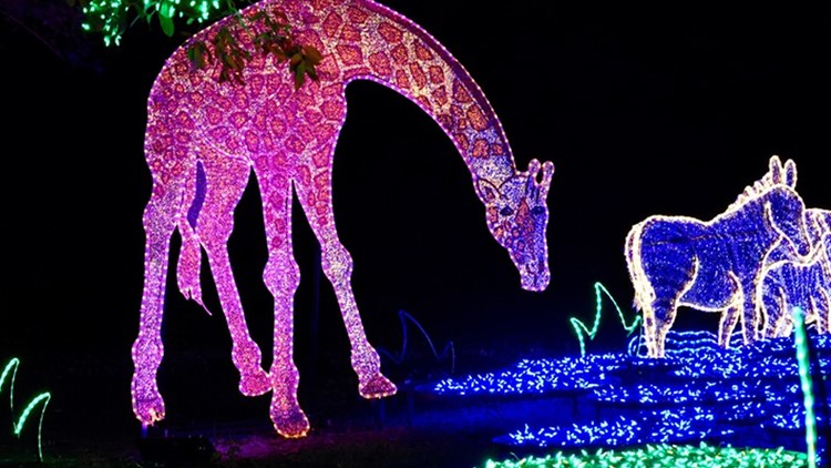 Houston Zoo Lights Open Through Mid