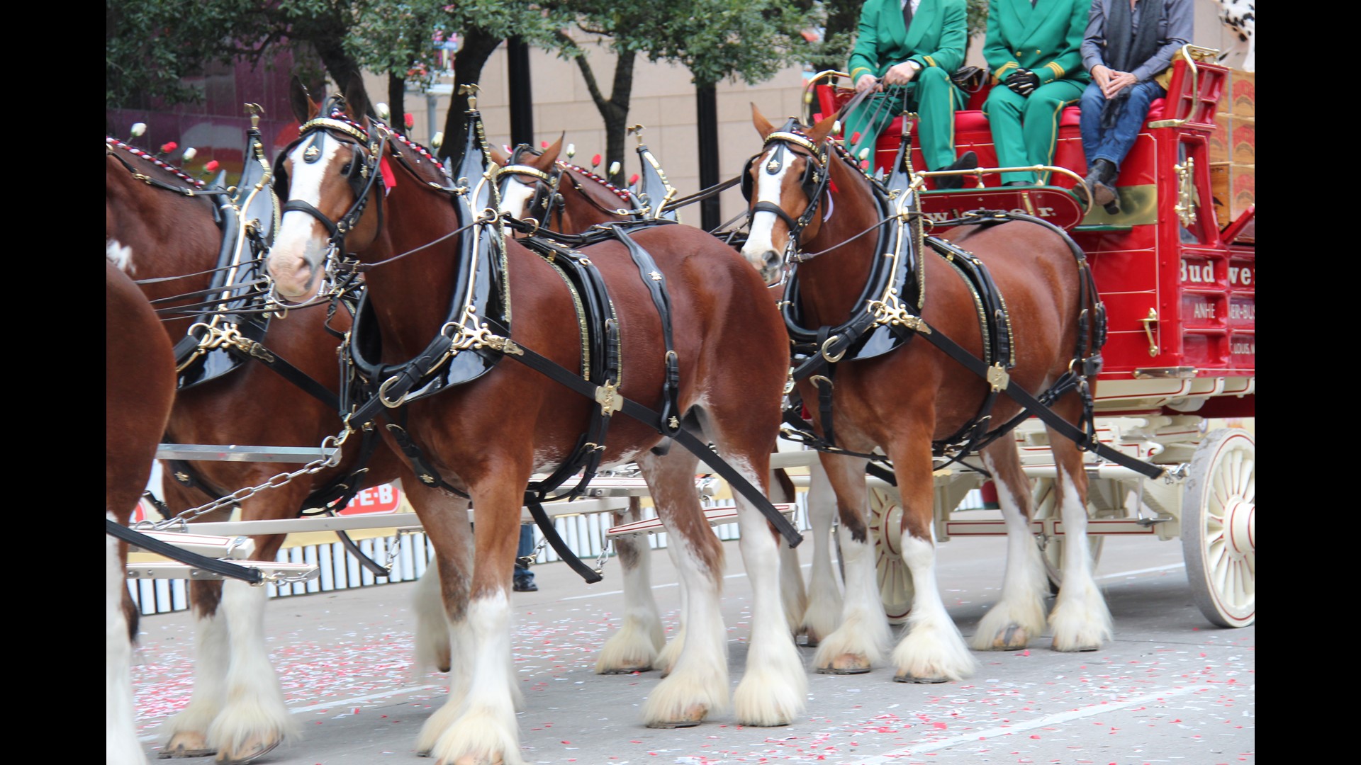 Houston H-E-B Thanksgiving Day Parade: What You Need To Know | Khou.com