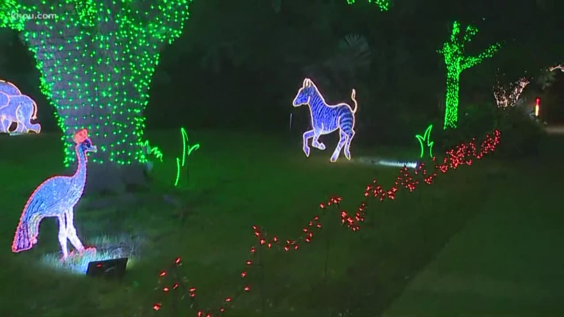 The Christmas lights are going up, and one of the most popular spots to see spectacular lights is the Houston Zoo. KHOU 11 Reporter Blake Mathews gives a sneak peak of what the Houston Zoo Lights look like this year.