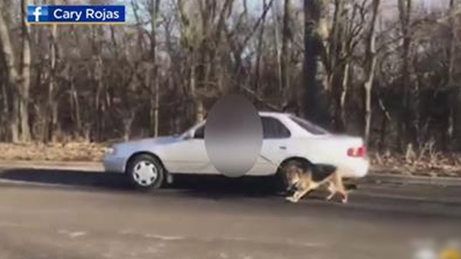 Dog being dragged on leash by man inside car caught on tape | khou.com