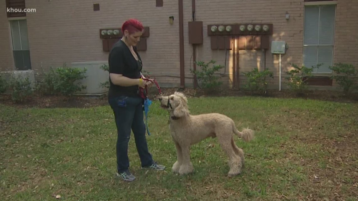 A woman battling post-traumatic stress who uses a service dog to calm anxiety claims a physician forced her to leave an exam because of the dog.