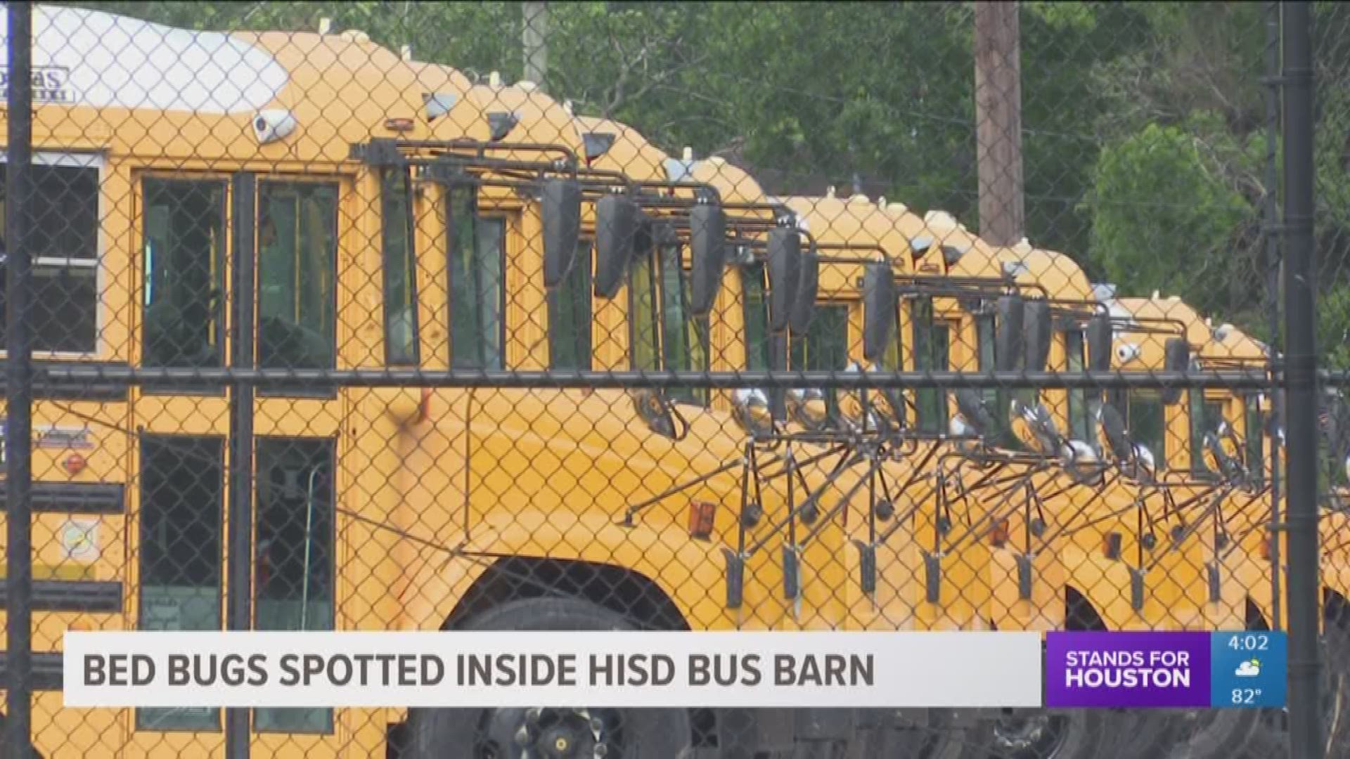 Bud bugs were spotted at an HISD bus terminal and drivers say they found the bugs on two buses.