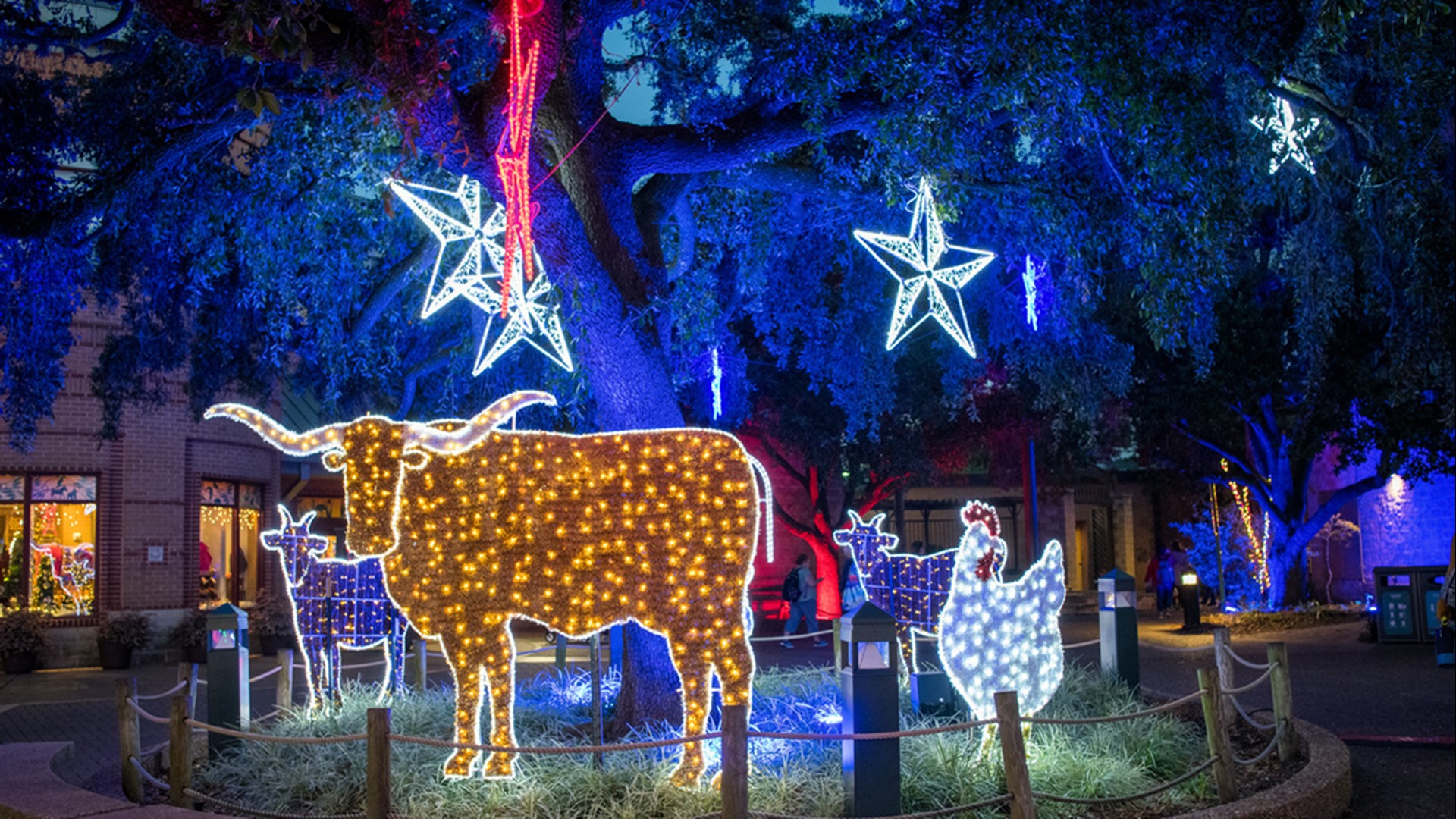 Where to see Christmas lights in Houston area