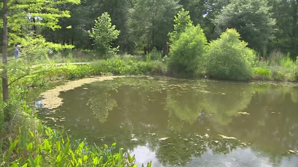Moment of Zen: Serene surrounds of Houston Arboretum & Nature Center