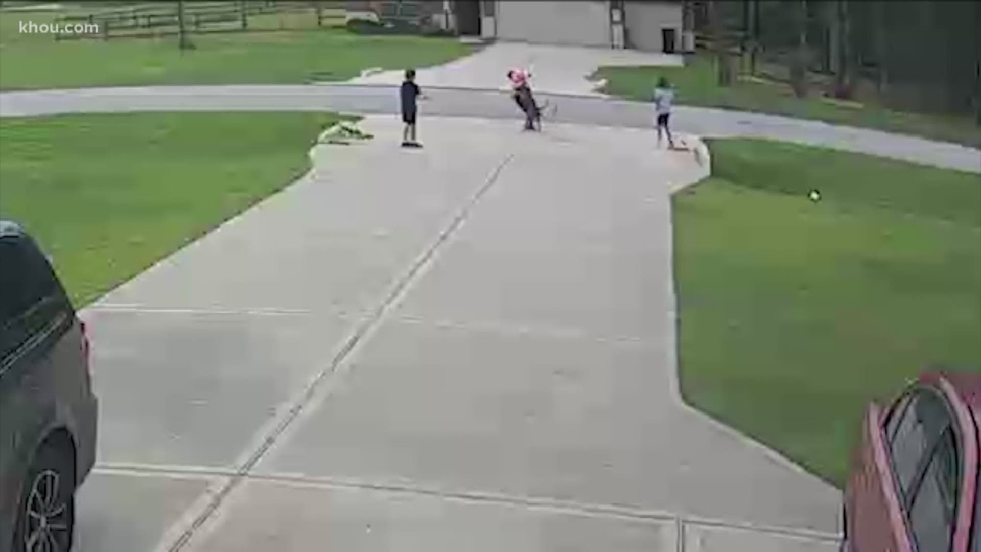 Thanks to the heroic action of a neighbor, a 6-year-old in Conroe is alive after being attacked by a pit bull. That 19-year-old neighbor heard the boy's screams, jumped out of a car and rushed to save him.