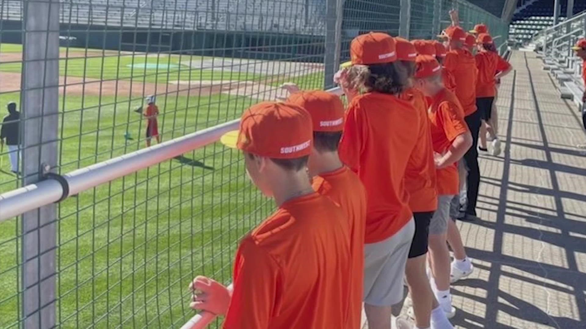 pearland little league world series