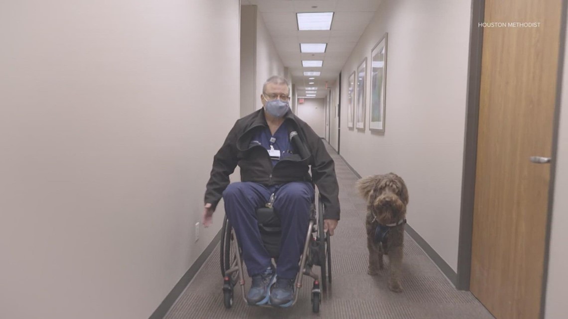 Dr. Alford dan Sam |  Ahli bedah plastik dan anjing penjaganya telah menjadi duo populer di Houston Methodist