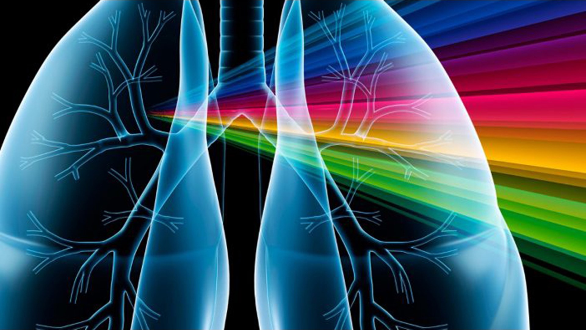 Dog dewormer, pinworm medicine studied as possible treatments for