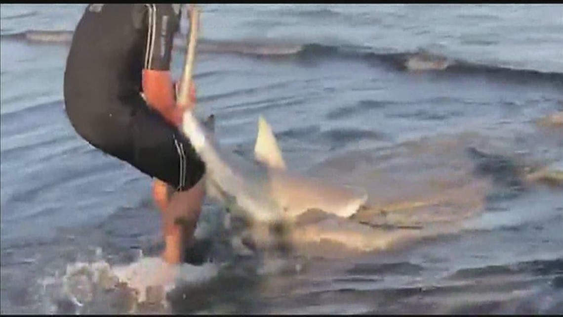 Shark reeled in on Galveston beach